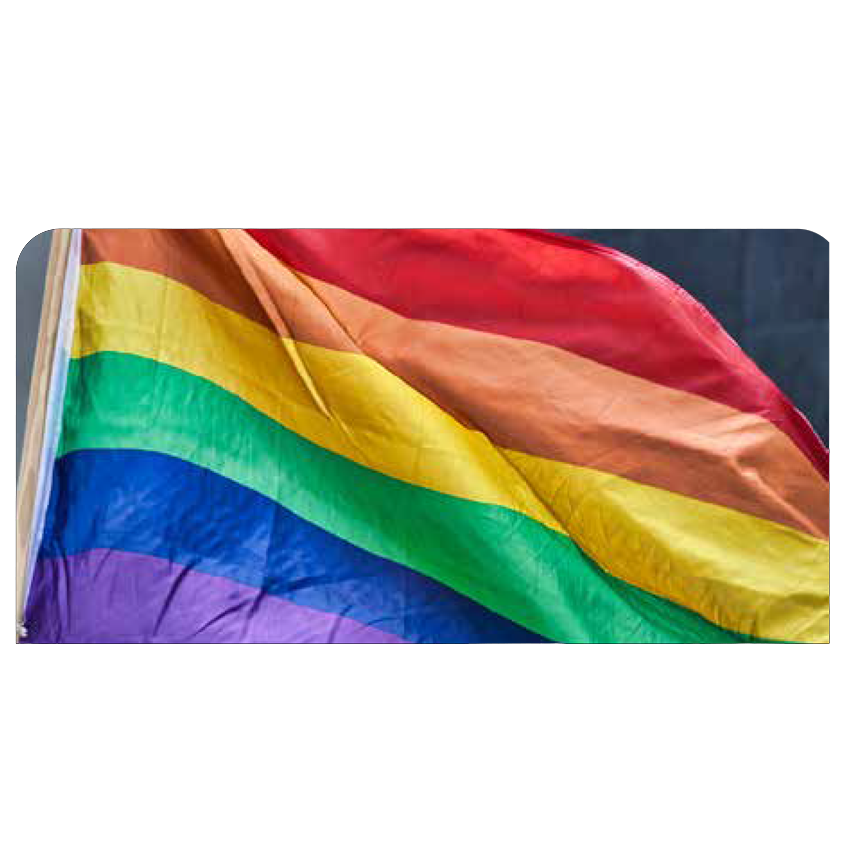 Día Internacional del Orgullo LGBTI