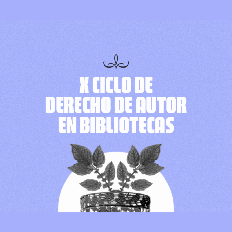 X Ciclo de derechos de autor | Derechos de autor en el entorno digital y la IA 