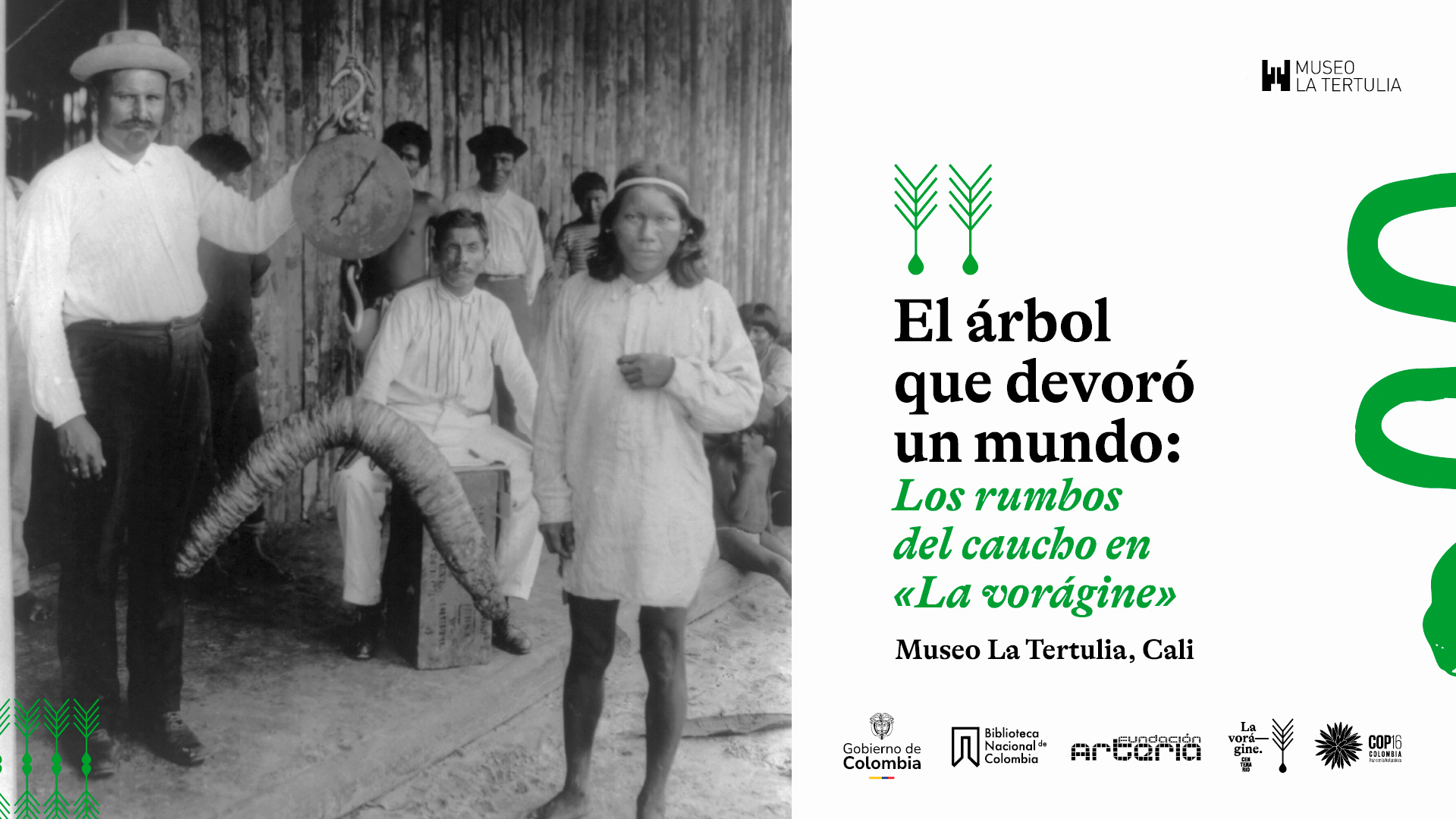 Pieza gráfica invitando a La exposición «El árbol que devoró un mundo: los rumbos del caucho en “La vorágine”» llega al Museo La